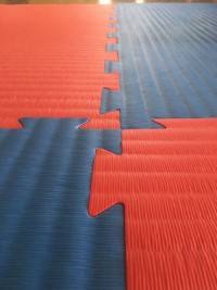 Judo/Karate Mat-40mm_Tatami Vein